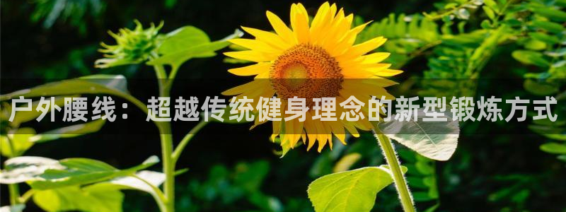 征途国际招商电话是多少