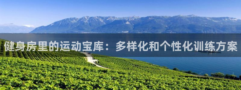 征途国际注册：健身房里的运动宝库：多样化和个性化训练