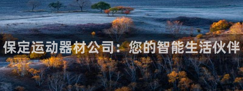 德国征途国际集团：保定运动器材公司：您的智能生活伙伴