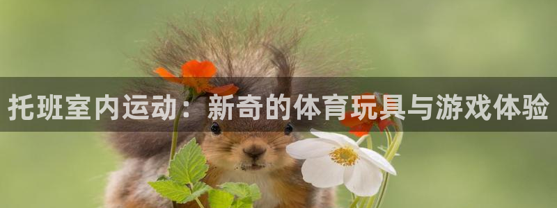 征途国际平台是正规平台吗安全吗：托班室内运动：新奇的体育玩具