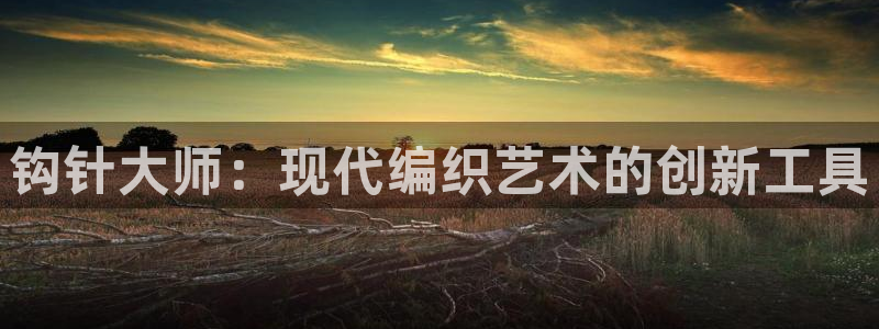 征途国际代理：钩针大师：现代编织艺术的创新工具