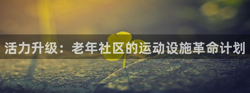 征途国际招商电话号码是多少啊：活力升级：老年社区的运动设施革