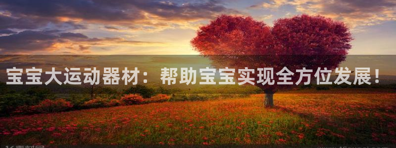 征途国际招商电话是多少号码：宝宝大运动器材：帮助宝宝