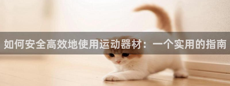 征途国际招商电话号码查询是多少