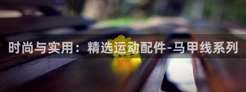 征途国际娱乐：时尚与实用：精选运动配件-马甲线系列
