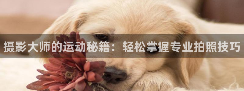 征途国际平台假的吗是真的吗吗：摄影大师的运动秘籍：轻松掌握专