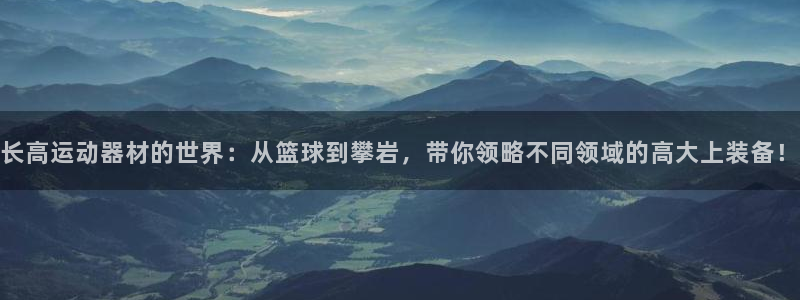 征途国际招商电话号码查询是多少：长高运动器材的世界：从篮球到