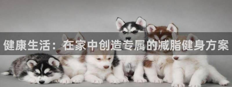 征途国际娱乐是那个系列的台子：健康生活：在家中创造专属的减脂