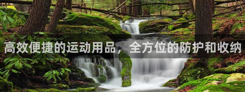 征途国际