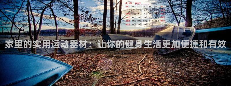 征途国际平台注册要钱吗：家里的实用运动器材：让你的健