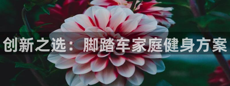 征途国际平台注册流程视频：创新之选：脚踏车家庭健身方案
