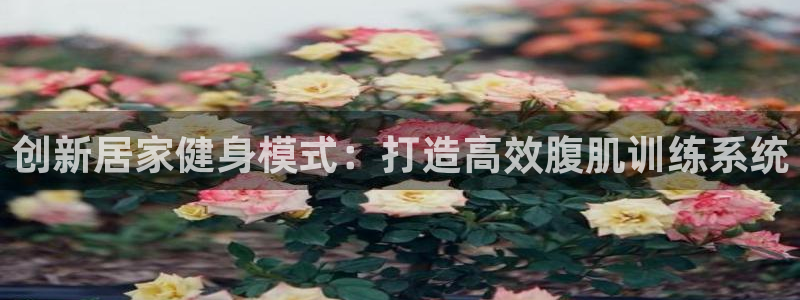 征途国际集团：创新居家健身模式：打造高效腹肌训练系统