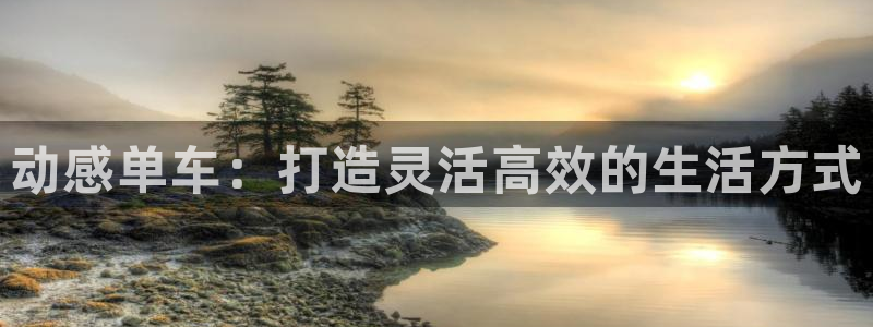 征途国际平台是正规平台吗安全吗：动感单车：打造灵活高效的生活