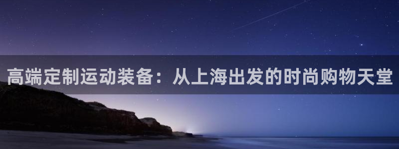 征途国际集团logo：高端定制运动装备：从上海出发的时尚购物